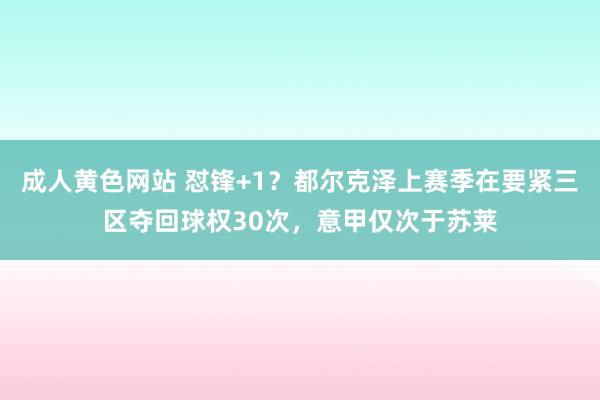 成人黄色网站 怼锋+1？都尔克泽上赛季在要紧三区夺回球权30次，意甲仅次于苏莱