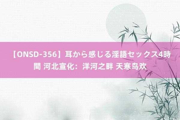 【ONSD-356】耳から感じる淫語セックス4時間 河北宣化：洋河之畔 天寒鸟欢