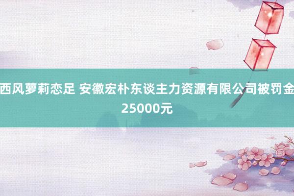 西风萝莉恋足 安徽宏朴东谈主力资源有限公司被罚金25000元