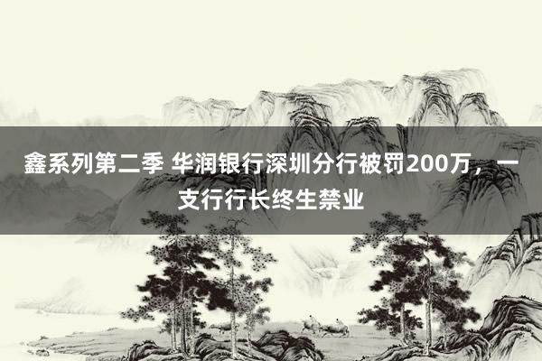 鑫系列第二季 华润银行深圳分行被罚200万，一支行行长终生禁业