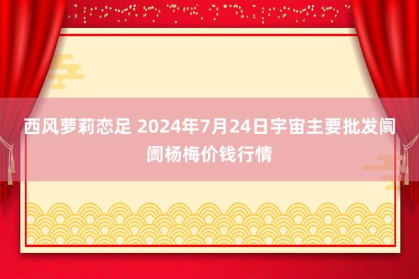 西风萝莉恋足 2024年7月24日宇宙主要批发阛阓杨梅价钱行情