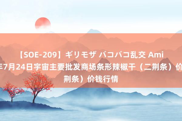 【SOE-209】ギリモザ バコバコ乱交 Ami 2024年7月24日宇宙主要批发商场条形辣椒干（二荆条）价钱行情