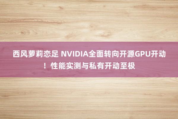 西风萝莉恋足 NVIDIA全面转向开源GPU开动！性能实测与私有开动至极