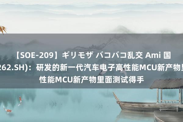 【SOE-209】ギリモザ バコバコ乱交 Ami 国芯科技(688262.SH)：研发的新一代汽车电子高性能MCU新产物里面测试得手