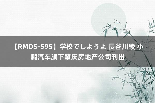 【RMDS-595】学校でしようよ 長谷川綾 小鹏汽车旗下肇庆房地产公司刊出