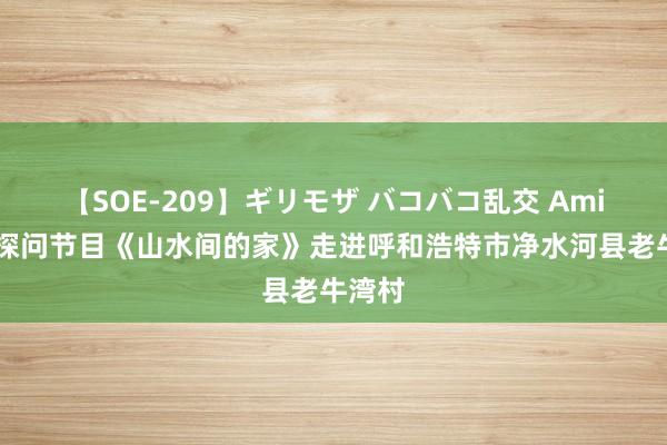 【SOE-209】ギリモザ バコバコ乱交 Ami 文旅探问节目《山水间的家》走进呼和浩特市净水河县老牛湾村