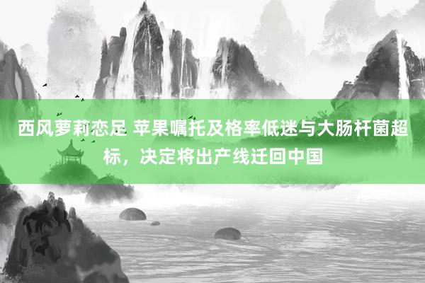 西风萝莉恋足 苹果嘱托及格率低迷与大肠杆菌超标，决定将出产线迁回中国