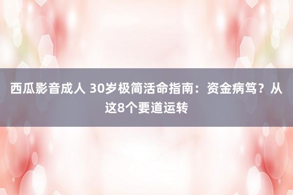 西瓜影音成人 30岁极简活命指南：资金病笃？从这8个要道运转