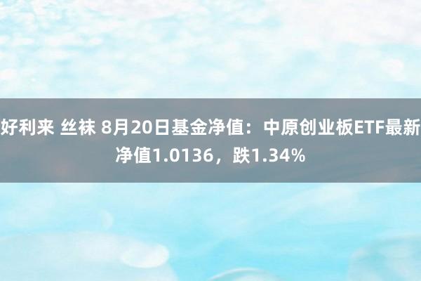 好利来 丝袜 8月20日基金净值：中原创业板ETF最新净值1.0136，跌1.34%