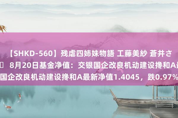 【SHKD-560】残虐四姉妹物語 工藤美紗 蒼井さくら 中谷美結 佐々木奈々 8月20日基金净值：交银国企改良机动建设搀和A最新净值1.4045，跌0.97%