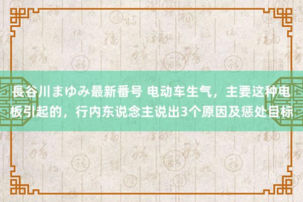 長谷川まゆみ最新番号 电动车生气，主要这种电板引起的，行内东说念主说出3个原因及惩处目标