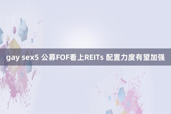 gay sex5 公募FOF看上REITs 配置力度有望加强