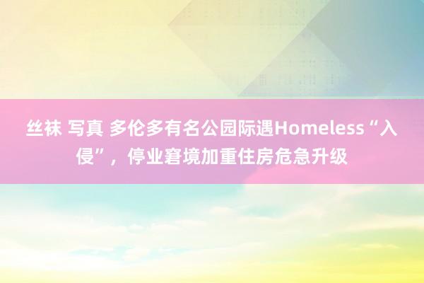 丝袜 写真 多伦多有名公园际遇Homeless“入侵”，停业窘境加重住房危急升级