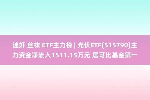 迷奸 丝袜 ETF主力榜 | 光伏ETF(515790)主力资金净流入1511.15万元 居可比基金第一