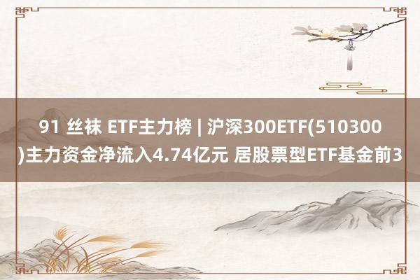 91 丝袜 ETF主力榜 | 沪深300ETF(510300)主力资金净流入4.74亿元 居股票型ETF基金前3