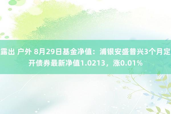 露出 户外 8月29日基金净值：浦银安盛普兴3个月定开债券最新净值1.0213，涨0.01%