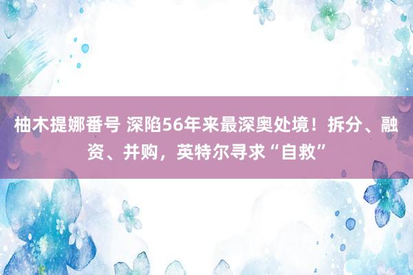 柚木提娜番号 深陷56年来最深奥处境！拆分、融资、并购，英特尔寻求“自救”