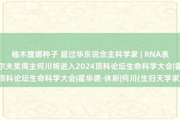 柚木提娜种子 超过华东说念主科学家 | RNA表不雅遗传学首创者、沃尔夫奖得主何川将进入2024顶科论坛生命科学大会|霍华德·休斯|何川(生归天学家)