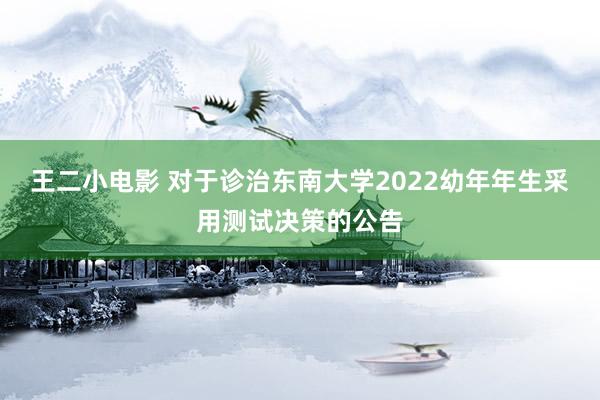 王二小电影 对于诊治东南大学2022幼年年生采用测试决策的公告