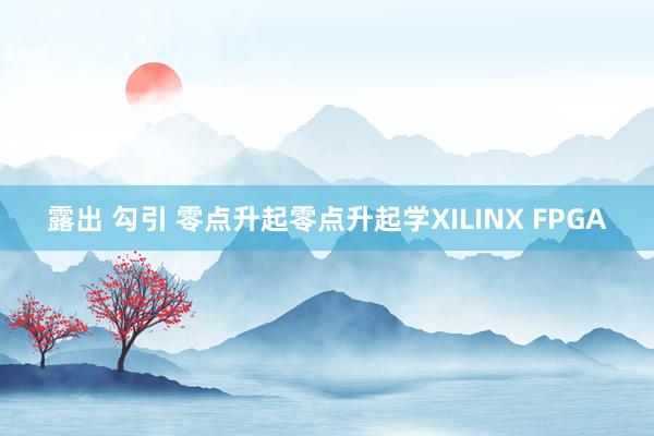 露出 勾引 零点升起零点升起学XILINX FPGA