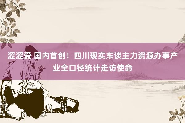 涩涩爱 国内首创！四川现实东谈主力资源办事产业全口径统计走访使命