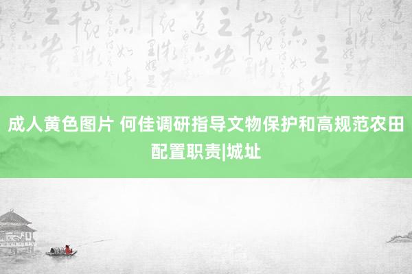 成人黄色图片 何佳调研指导文物保护和高规范农田配置职责|城址