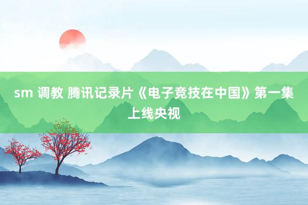 sm 调教 腾讯记录片《电子竞技在中国》第一集上线央视