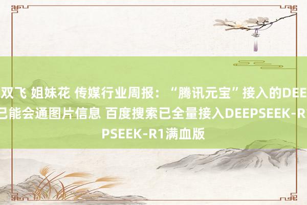 双飞 姐妹花 传媒行业周报：“腾讯元宝”接入的DEEPSEEK已能会通图片信息 百度搜索已全量接入DEEPSEEK-R1满血版